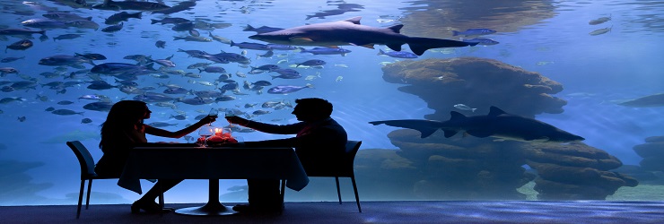 aquariums